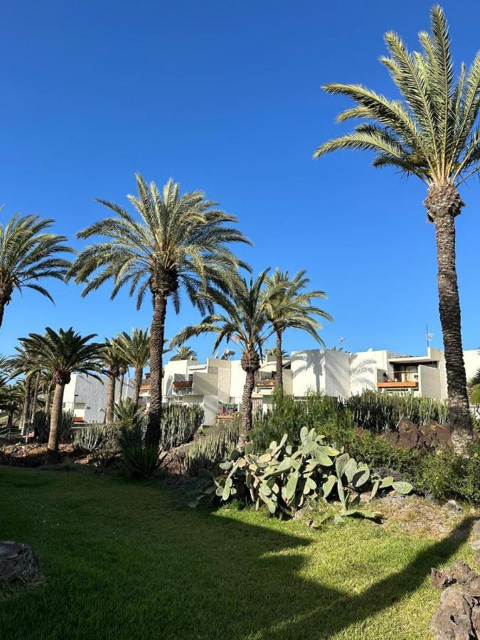 Pool View Apartment Primavera أرونا المظهر الخارجي الصورة